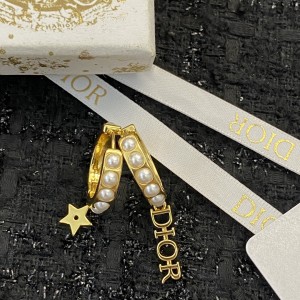 Fashion Jewelry Accessories Earrings Dior Earrings Gold Earrings E1063