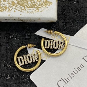 Fashion Jewelry Accessories Earrings Dior Earrings Gold Earrings E1024