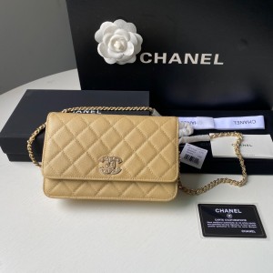 Fashion Handbags Flap Bag 19 Wallet on Chain Flap Wallet Card Holder AP2734B Apricot