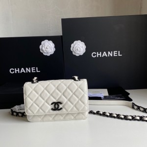 Fashion Handbags Classic Bag Classic Small Flap Bag White Leather Chain Bag 19cm 81059